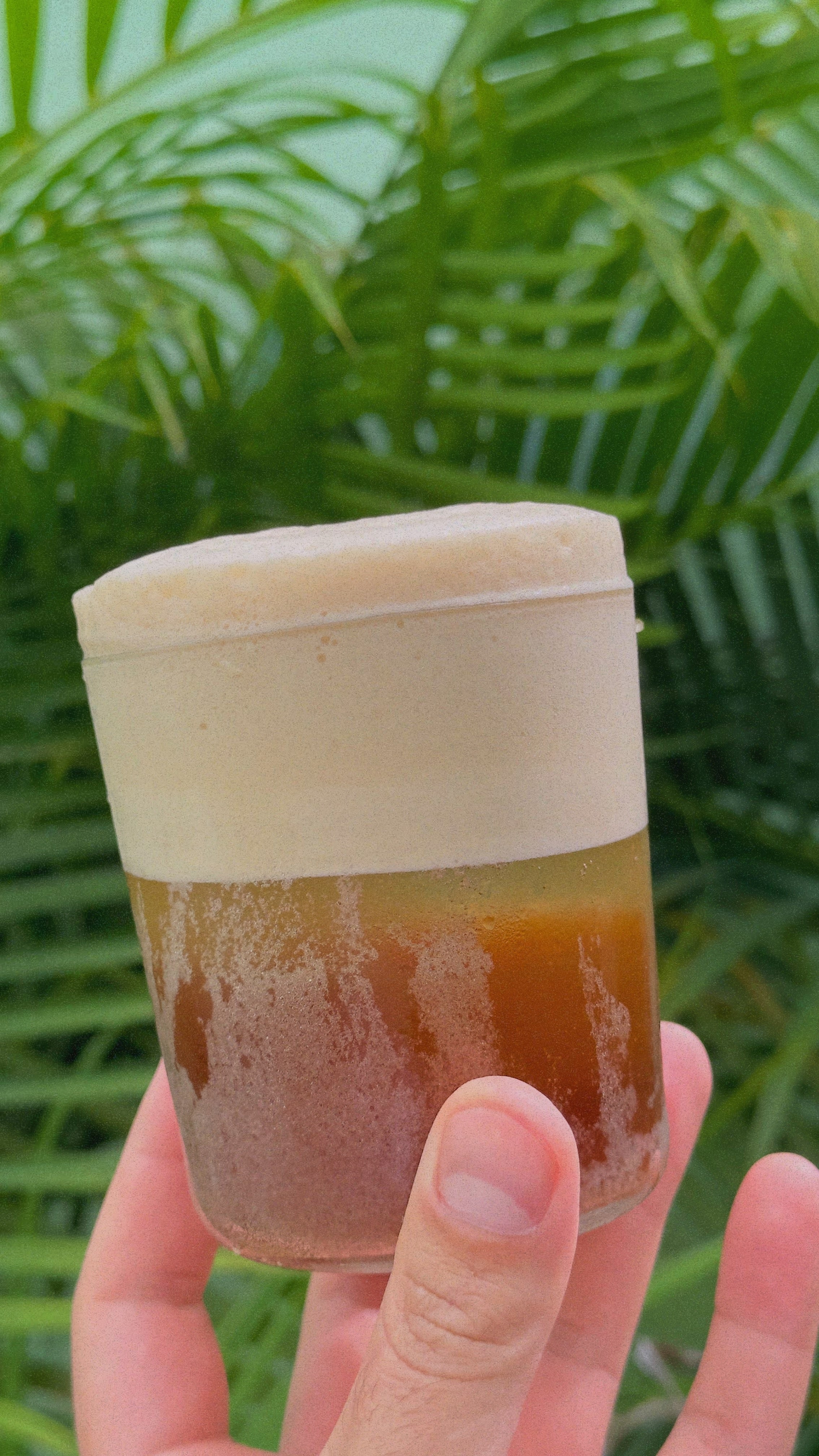 Close-up of a hand holding a Yuzu Espresso Fizz with creamy foam head and espresso beneath against palm leaves background