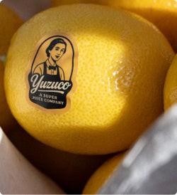 ByCitrus_Yuice_Image_Container