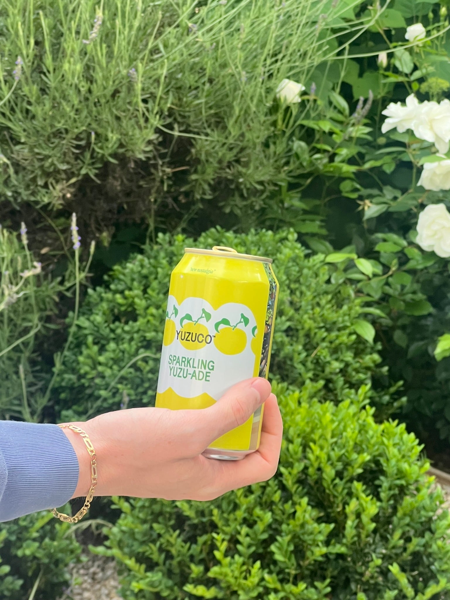 Green Tea Yuzu-Ade (12oz, 12pk) – YUZUCO